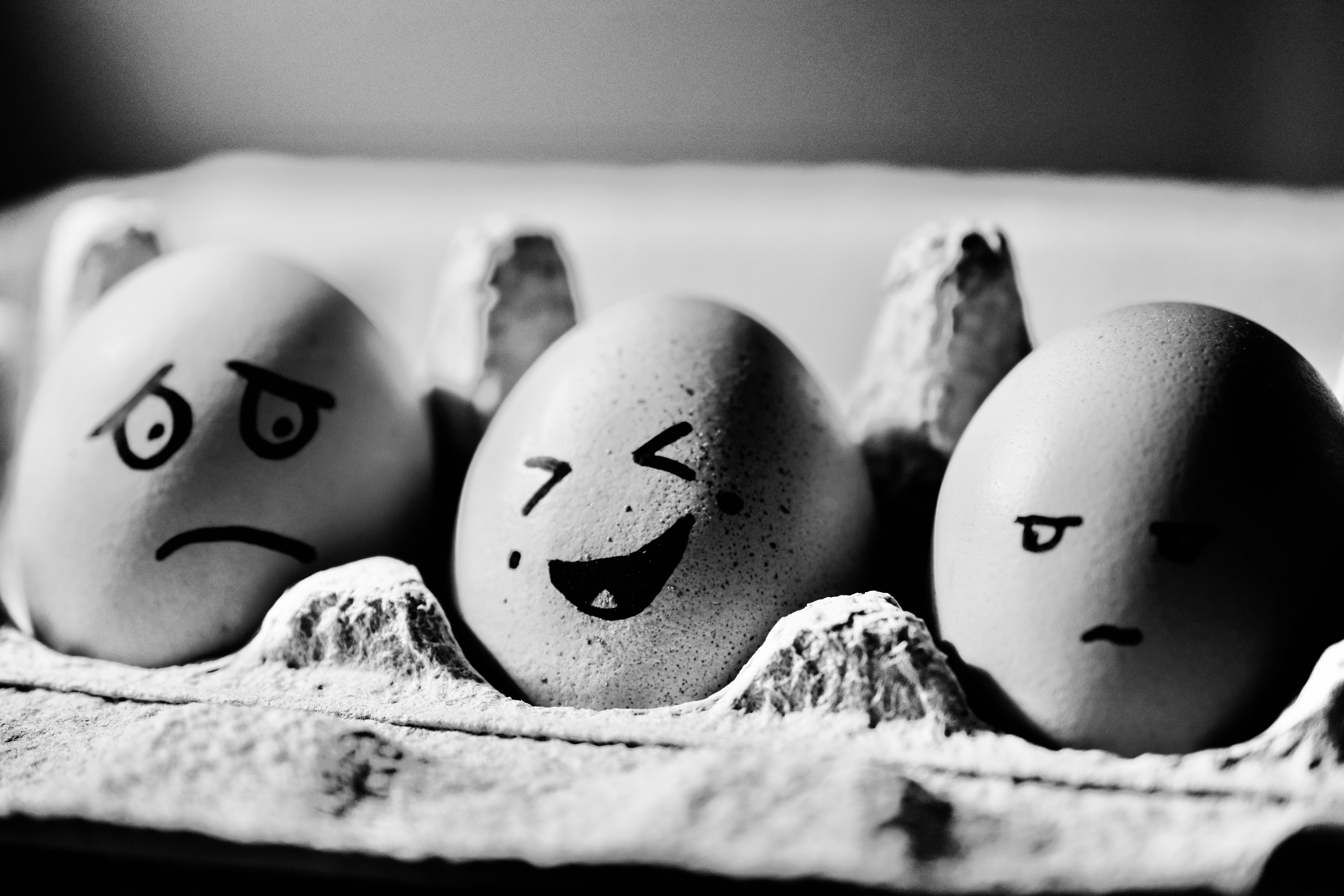 décodage émotionnel a bayonne